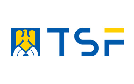 logo 81 – TSF