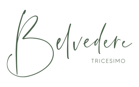 logo 96 – Belvedere